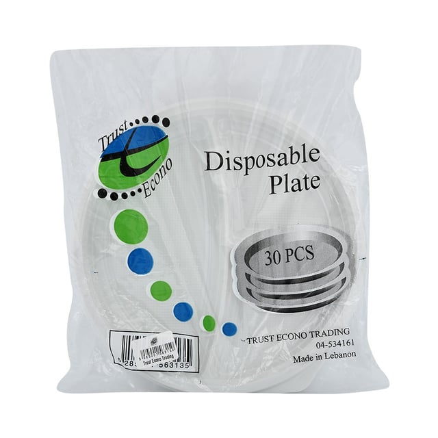 Disposable Plate 9 Inch
