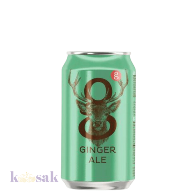 g-ginger ale 300ml